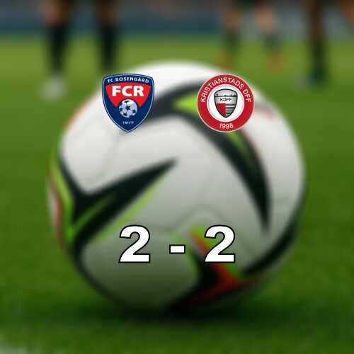 Delad pott i jamnt skanederby pa malmo ip